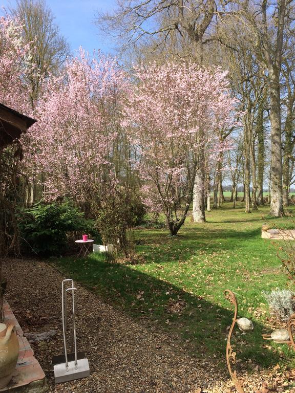 Logis De La Paqueraie Bed and Breakfast Saint-Branchs Εξωτερικό φωτογραφία